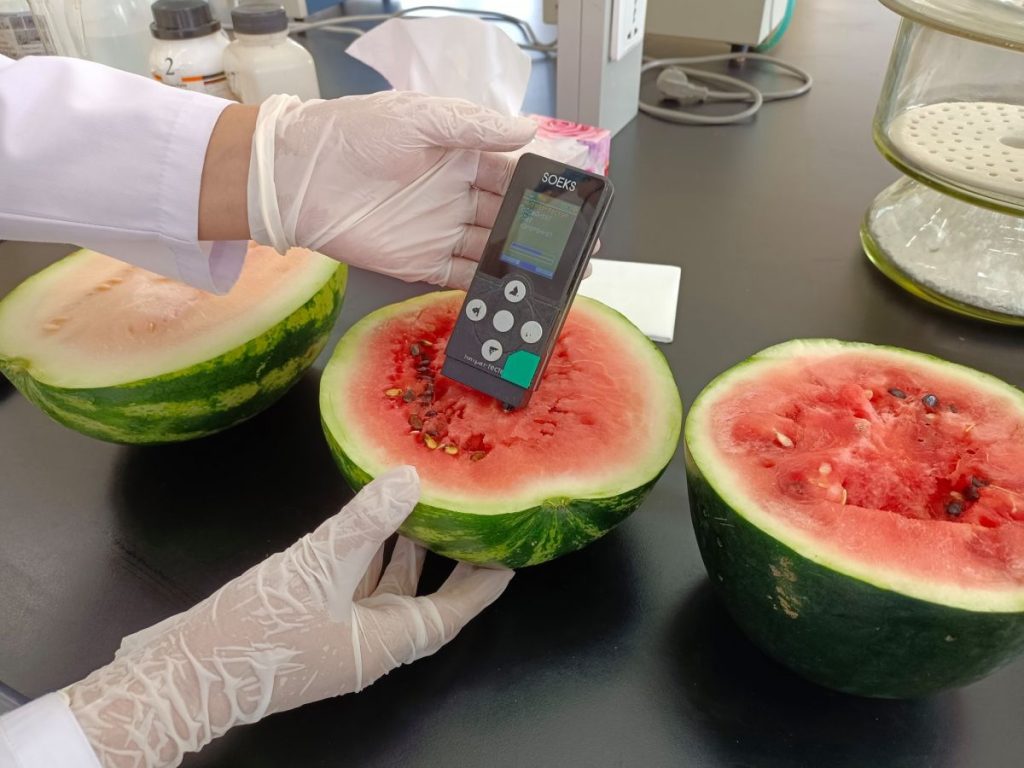 ТАРВАС, ХҮНСНИЙ НОГООНД ШИНЖИЛГЭЭТ ХЯНАЛТ ХИЙЖ БАЙНА